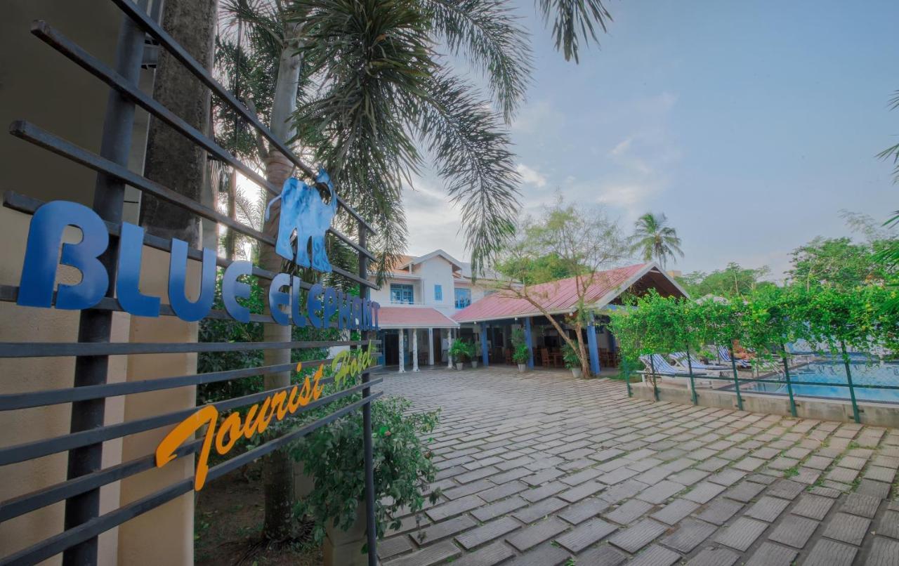Blue Elephant Boutique Hotel Negombo